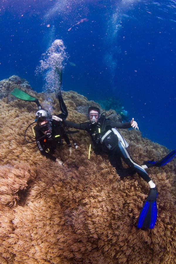 Fiji Lodge Vosa Ni Ua Savusavu Luaran gambar