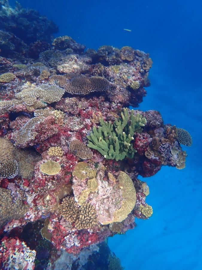Fiji Lodge Vosa Ni Ua Savusavu Luaran gambar