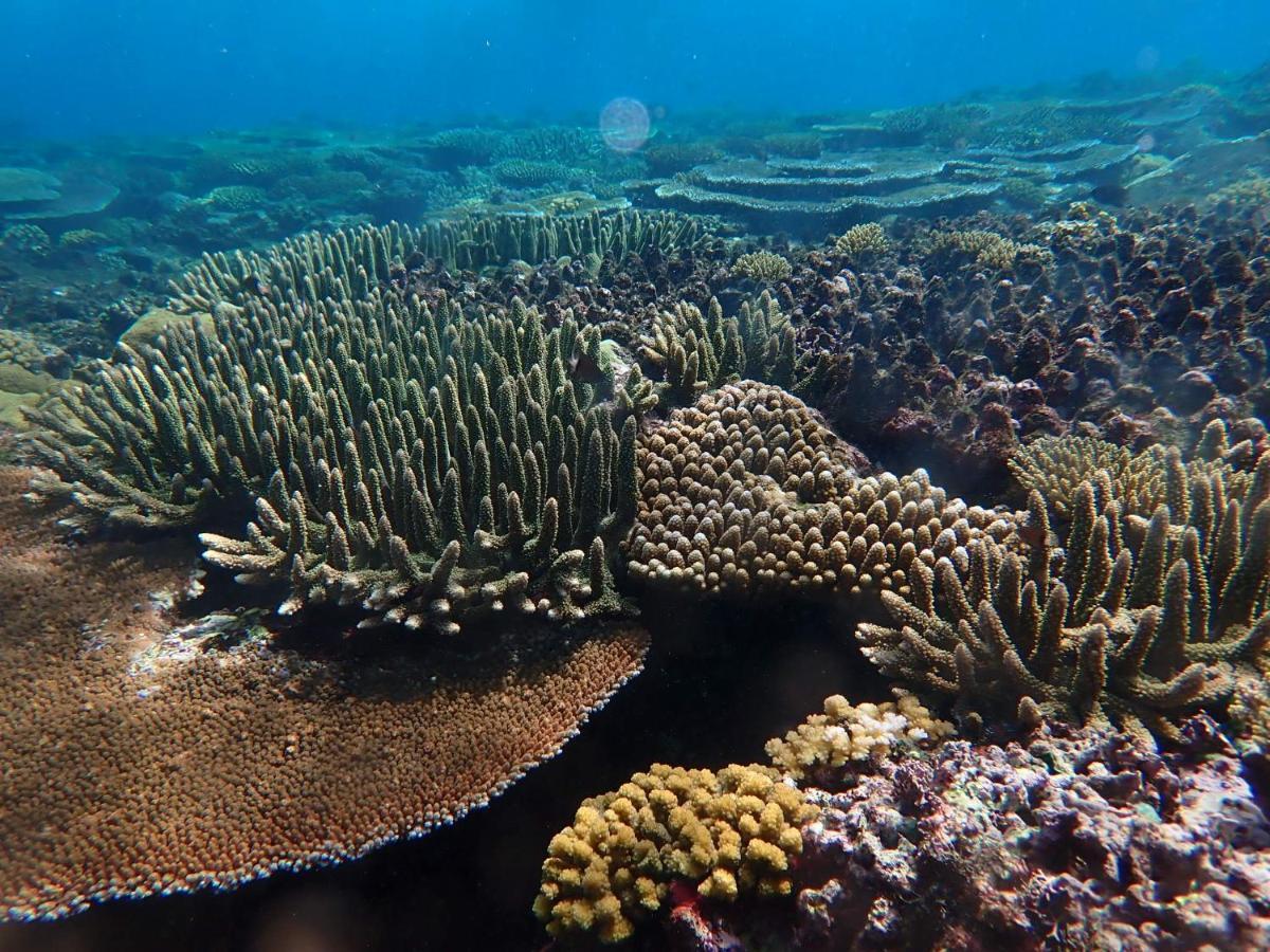 Fiji Lodge Vosa Ni Ua Savusavu Luaran gambar
